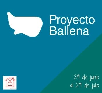 Proyecto Ballena 350x320
