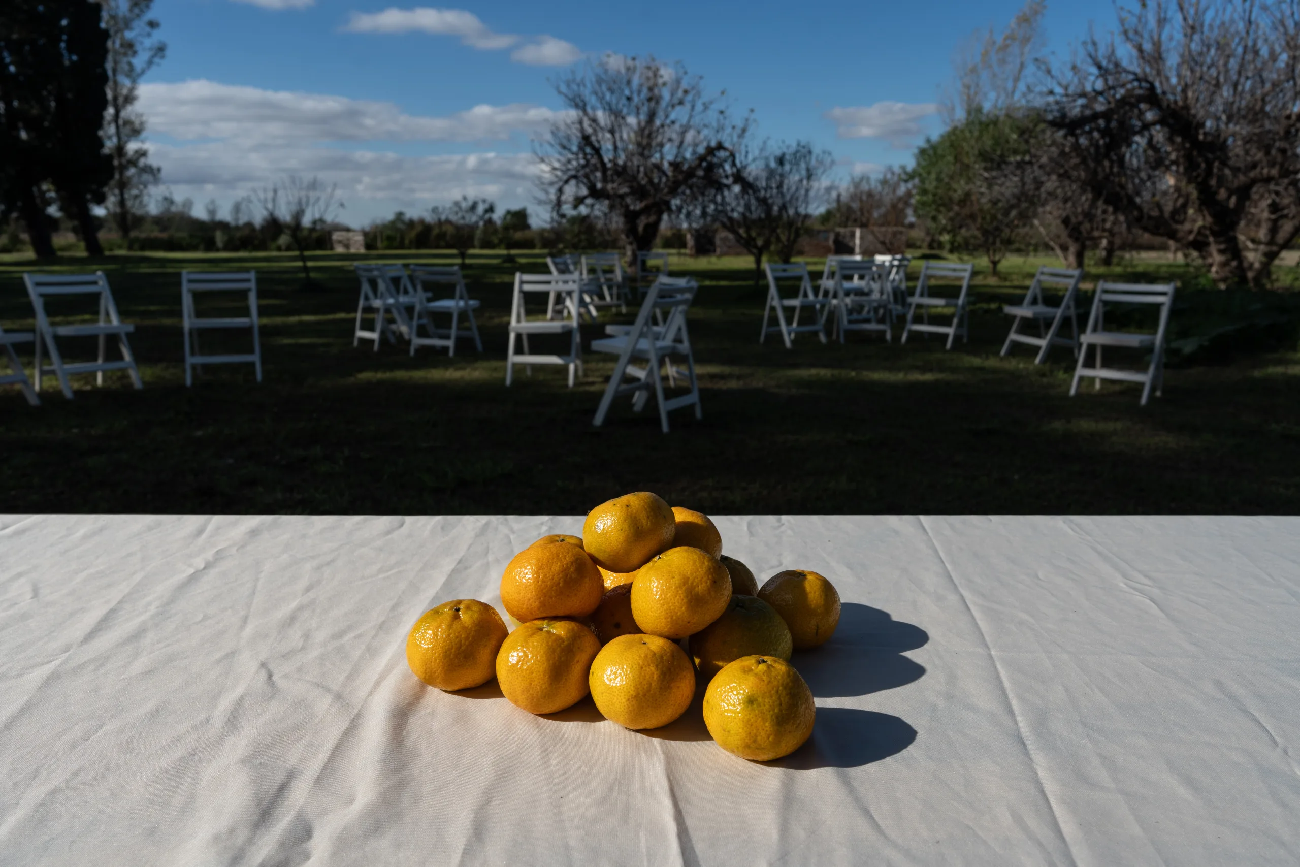 Mandarinas sobre una mesa en el campo de Ankara