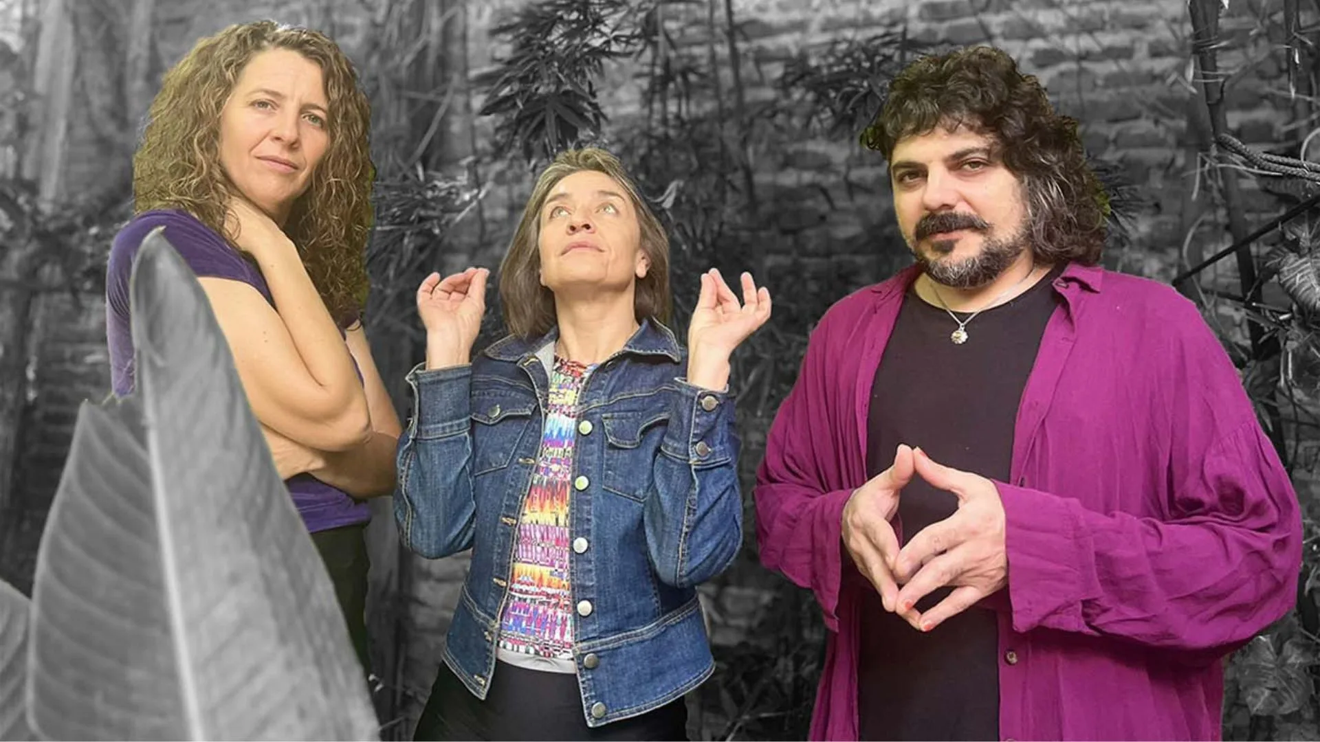 Artistas del Festival Sol del Sur